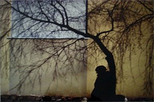 Image description is not available for 1984.043